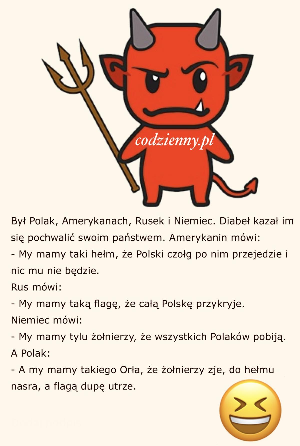 Dowcip o bystrym Polaku 