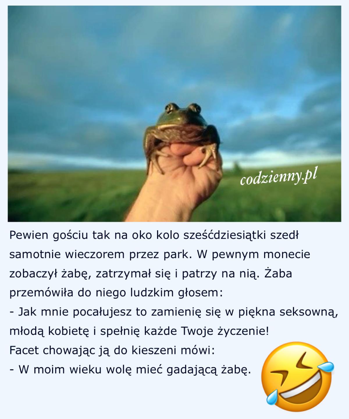 Dowcip o gadającej Żabie 