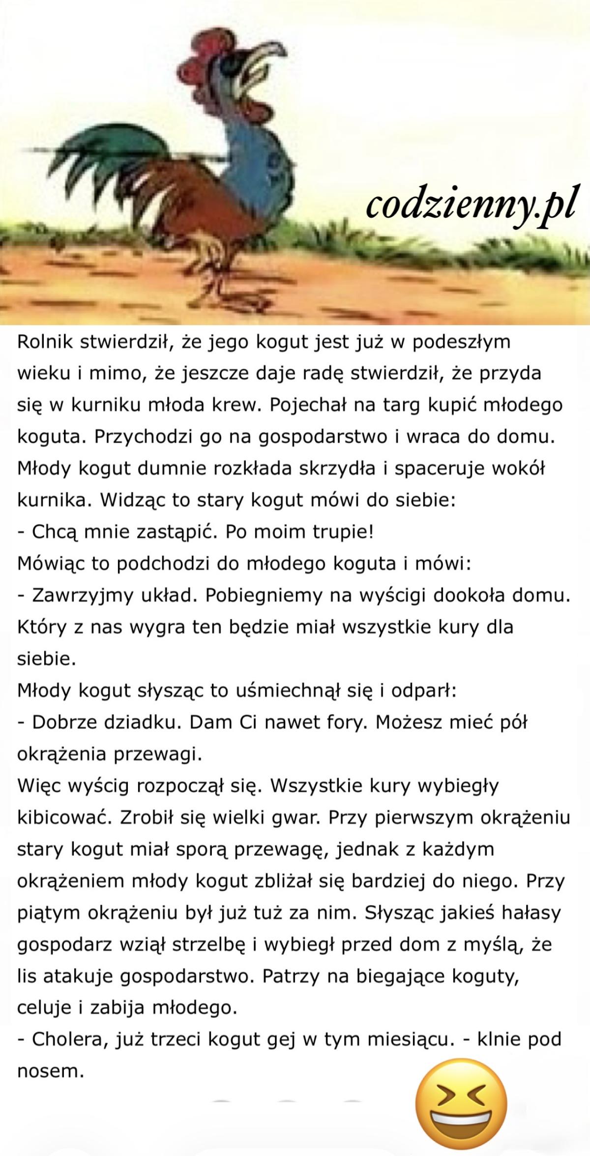 Dowcip o starym kogucie