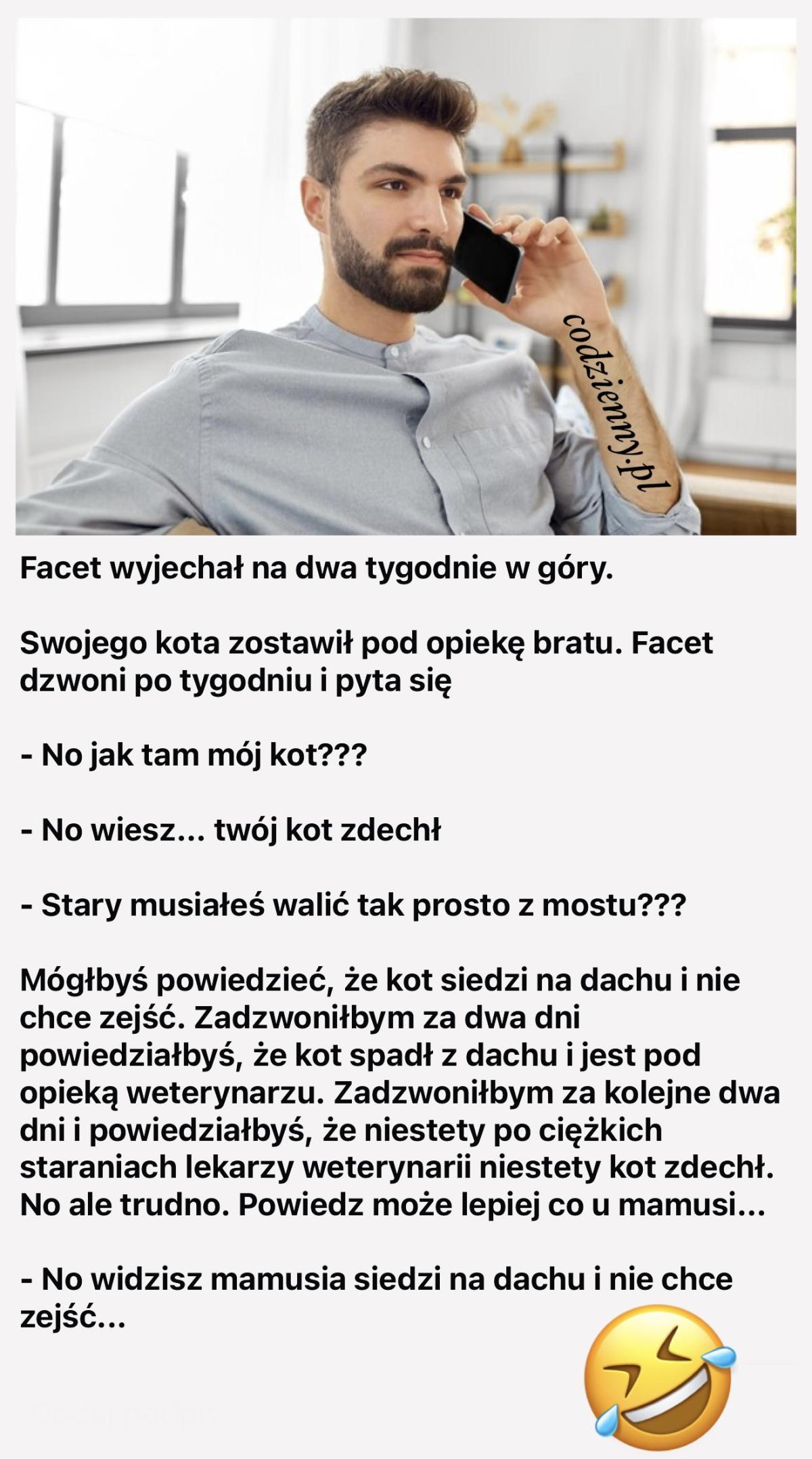 Dwa tygodnie w górach 