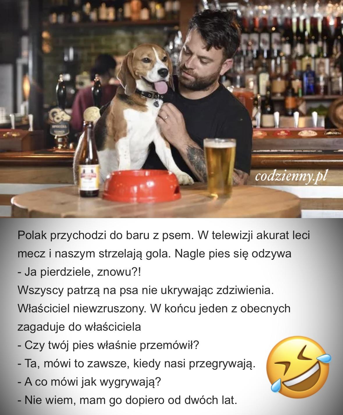 Gadający pies 