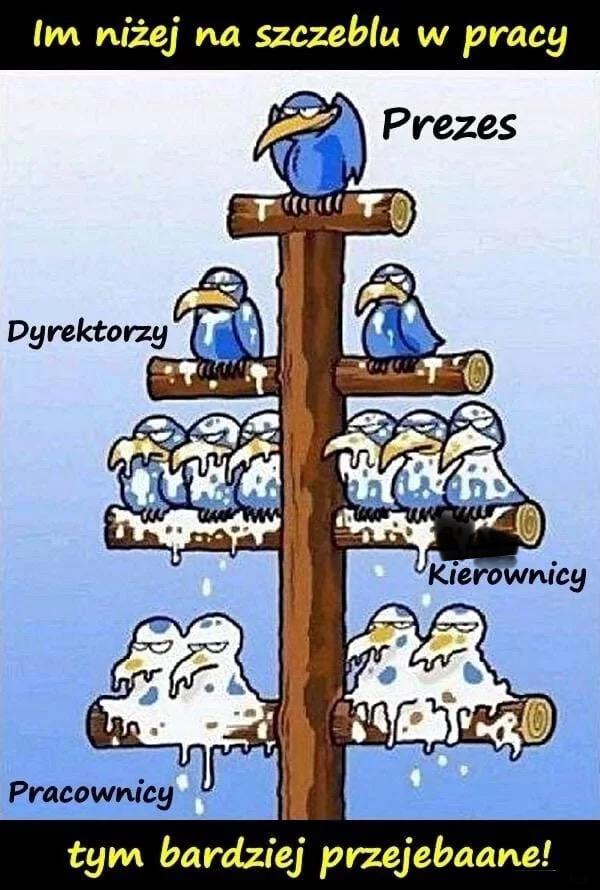 Hierarchia w pracy