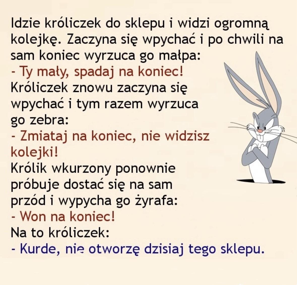 Idzie króliczek do sklepu…