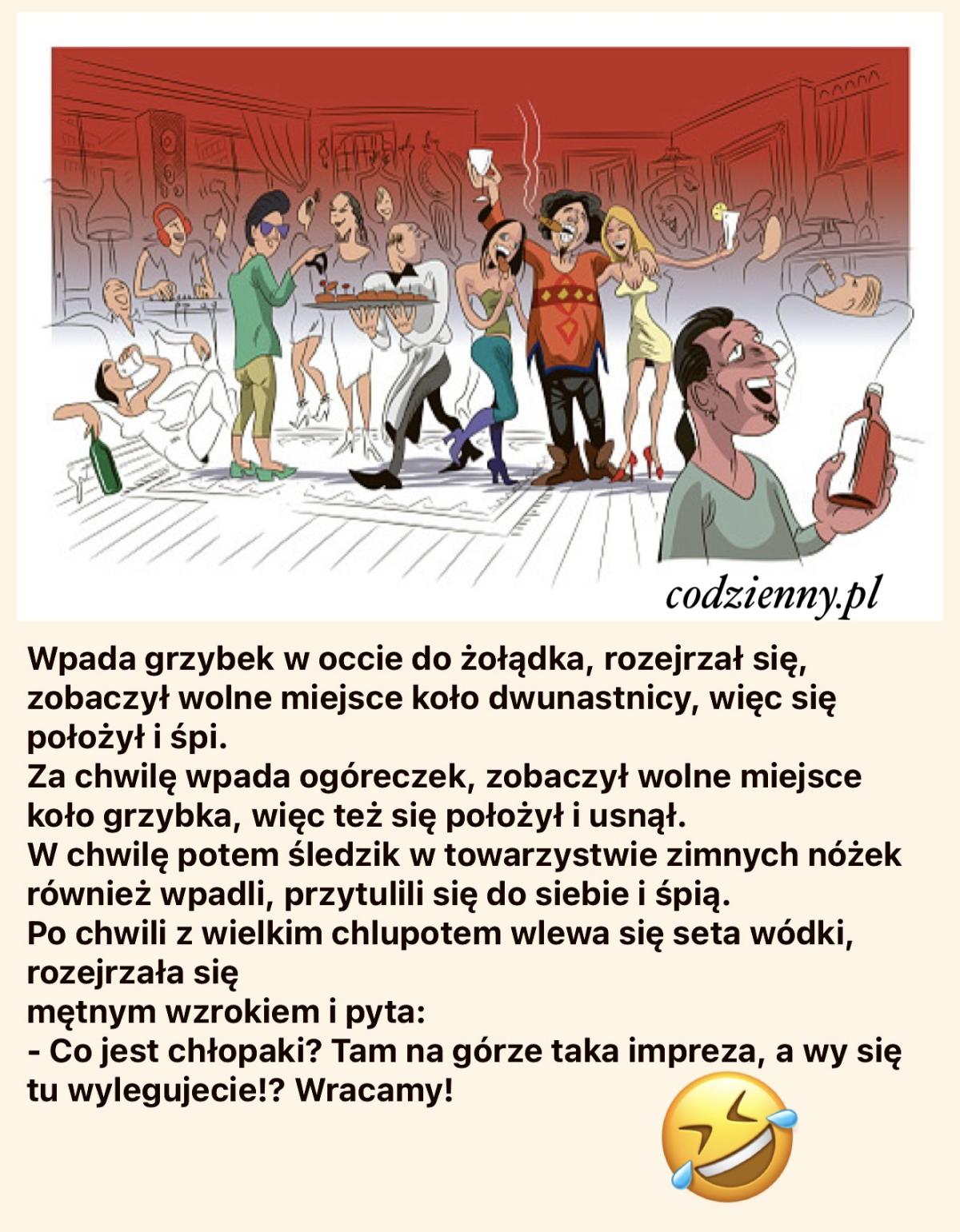 Impreza na całego 