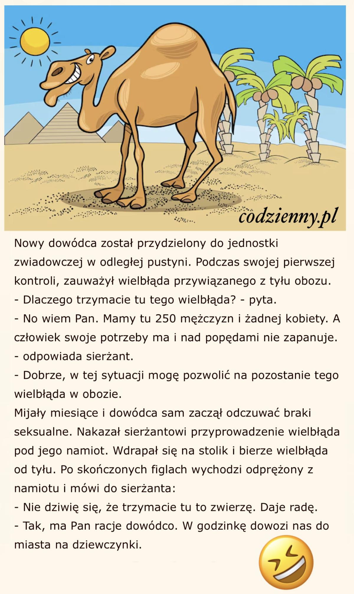 Jednostka zwiadowcza na pustyni 