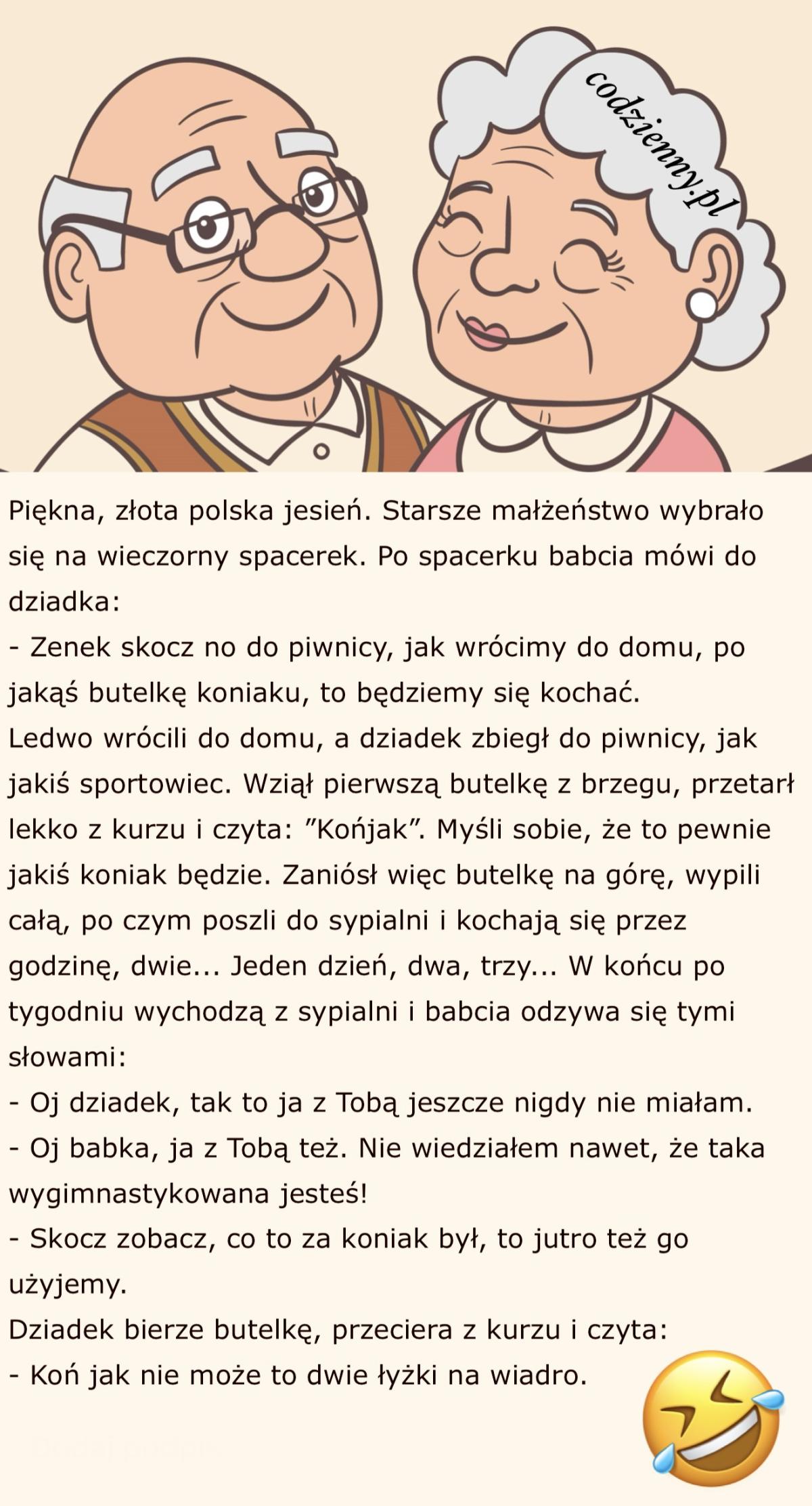 Koniak dla konia 