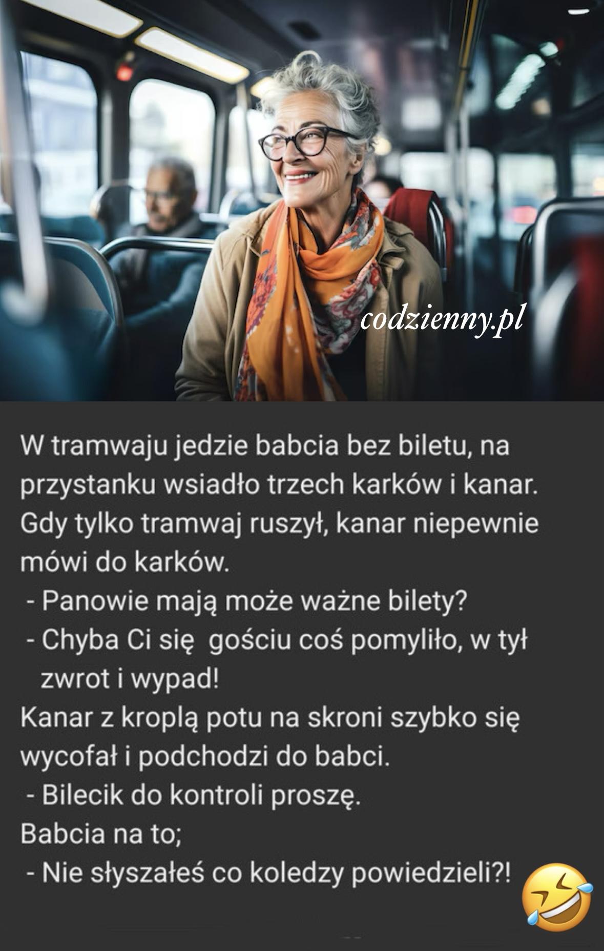 Kontrola bilecików 