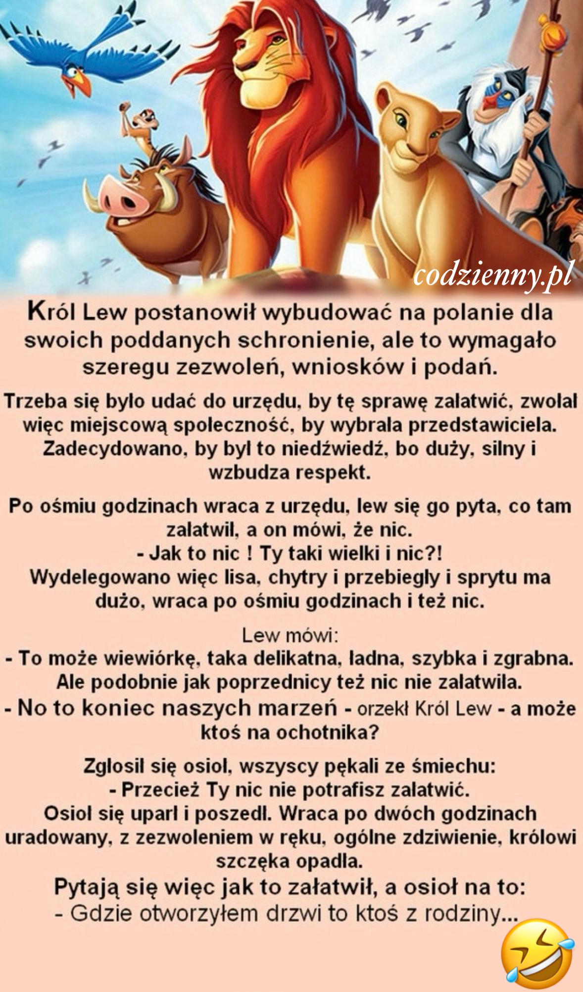 Król Lew i przyjaciele