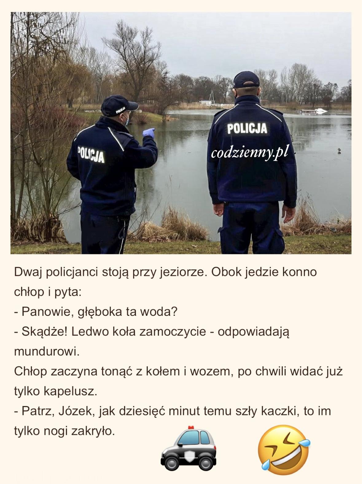 Kto pyta nie błądzi 