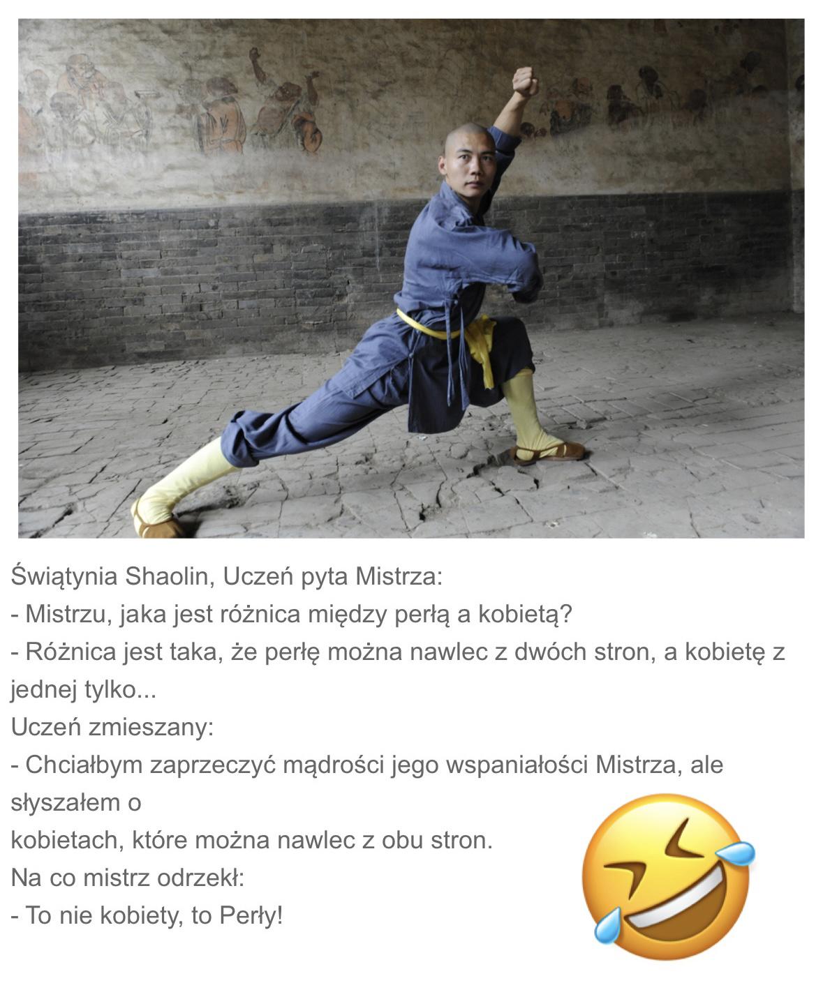 Mistrz Shaolin radzi