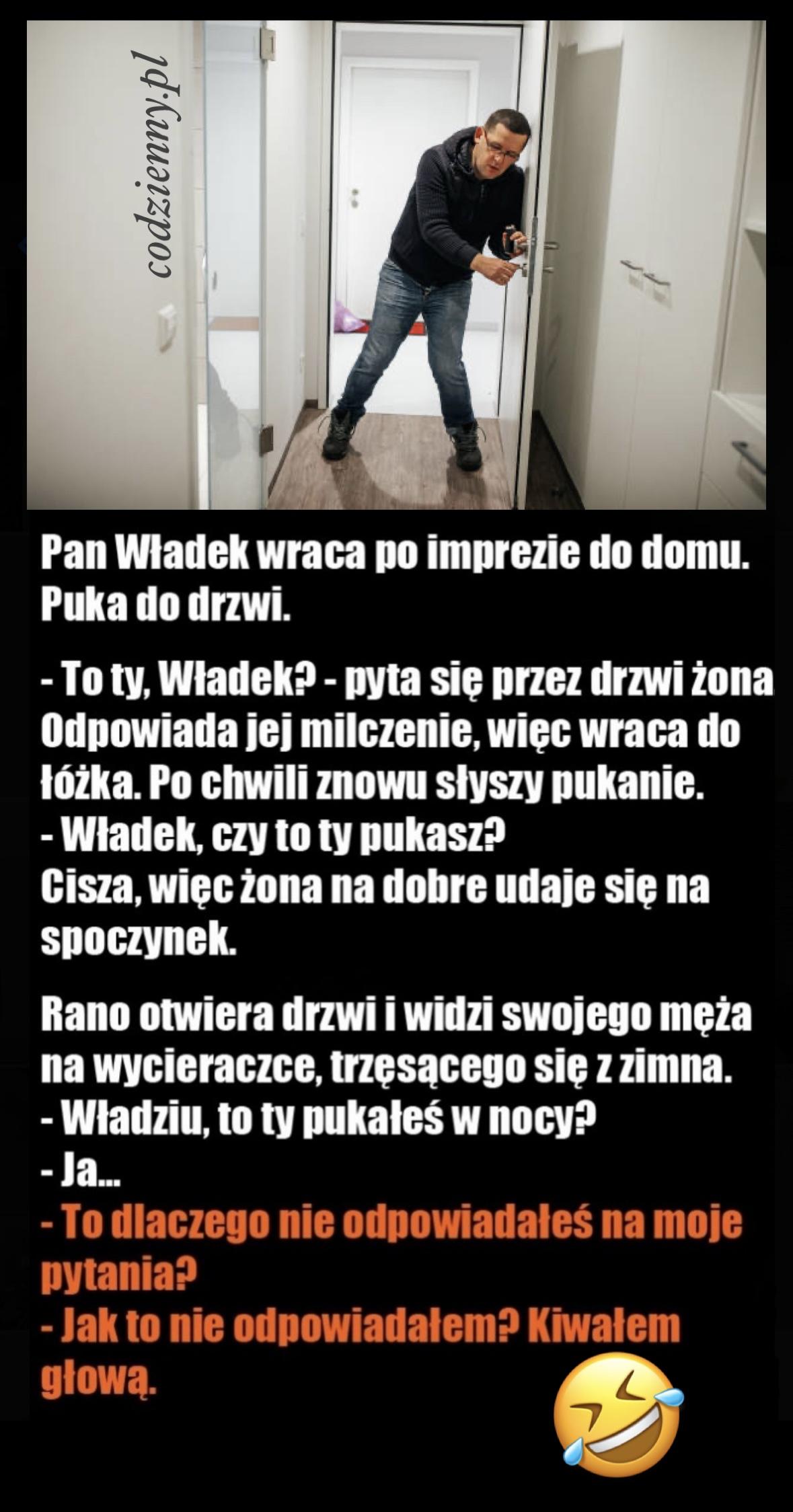 Pan Władek wraca po imprezie do domu