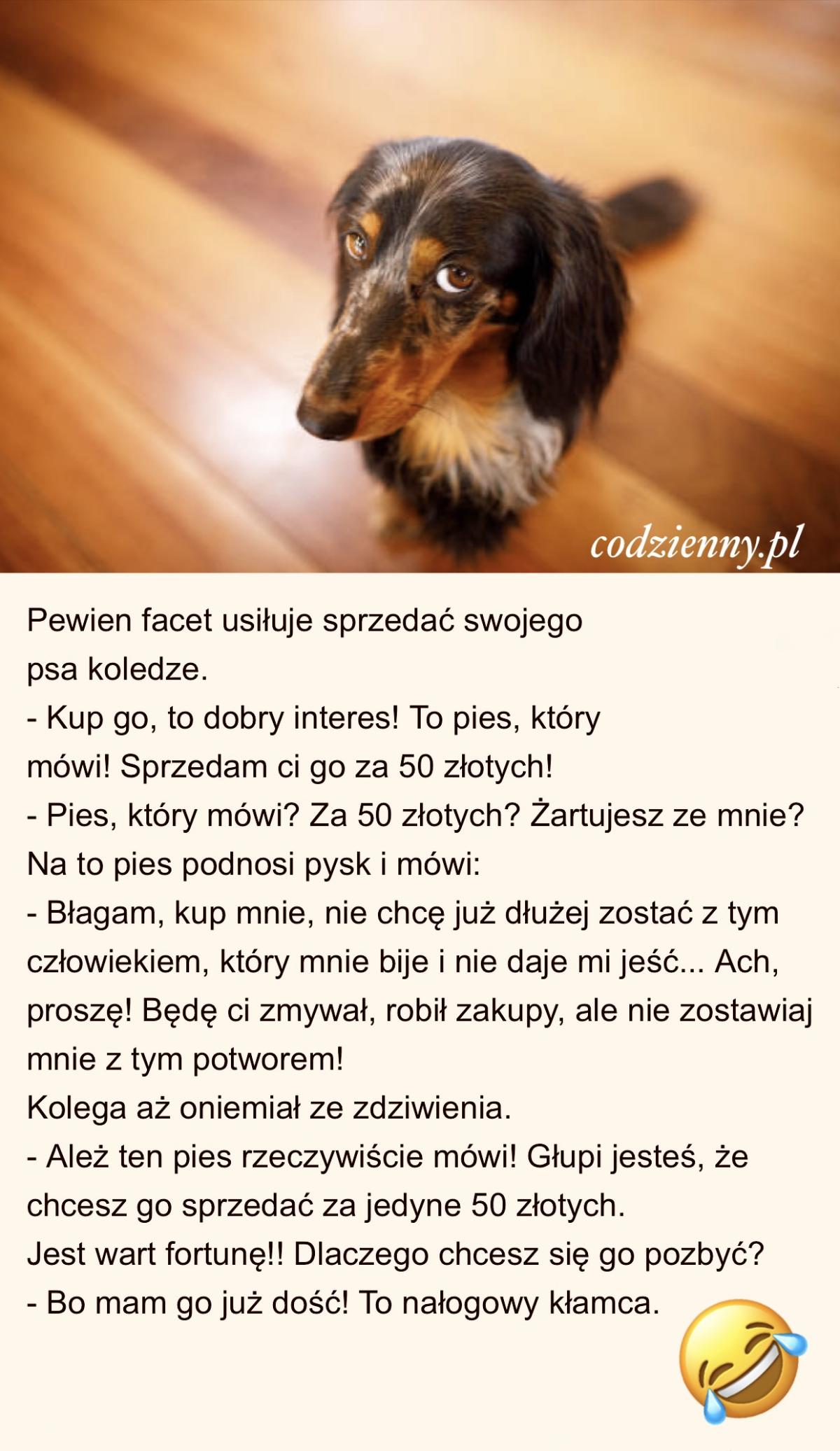Pies który mówi 