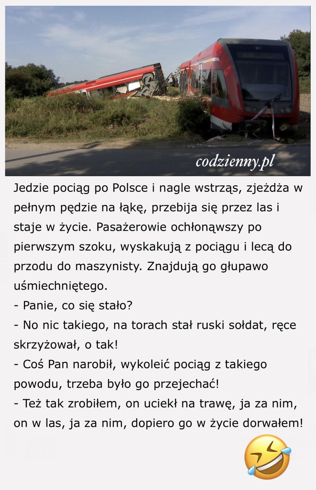 Pociąg w polu żyta