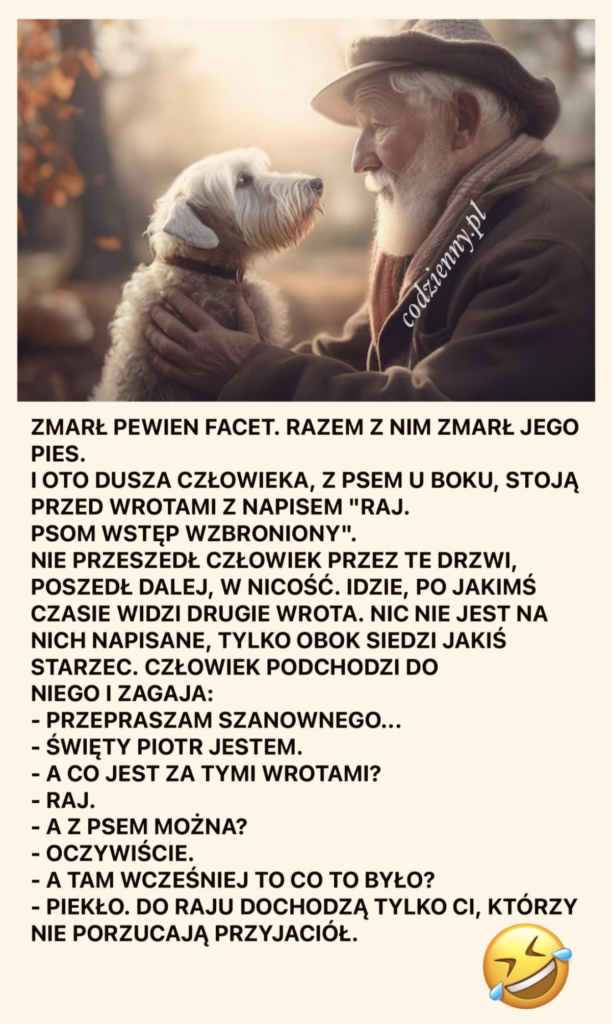 Pouczająca i wzruszająca historia o przyjaźni