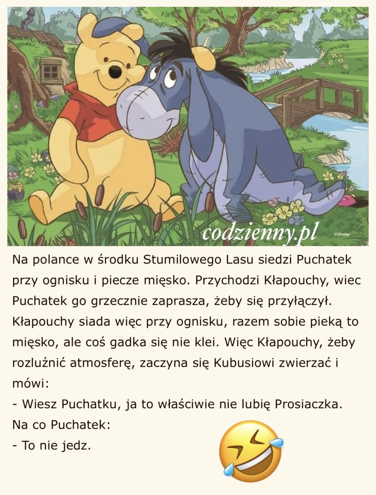 Puchatek robi grila 