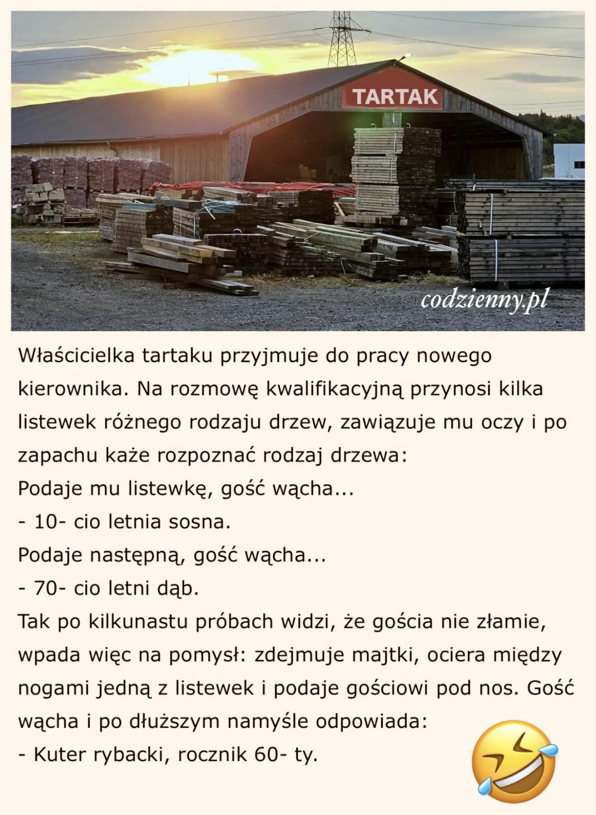 Rozmowa kwalifikacyjna w tartaku 