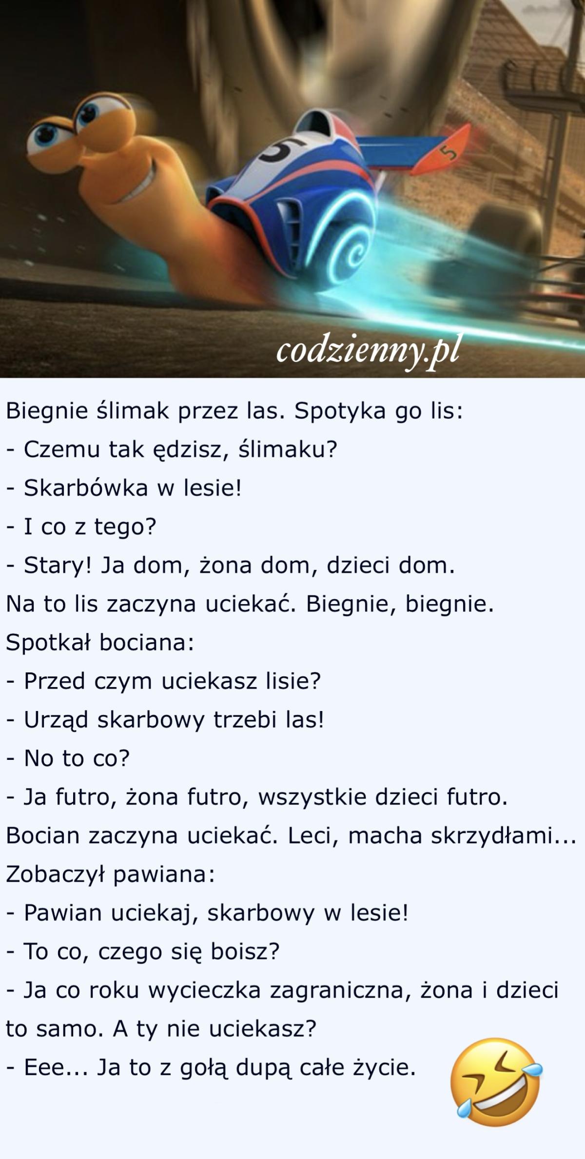 Skarbówka w lesie 