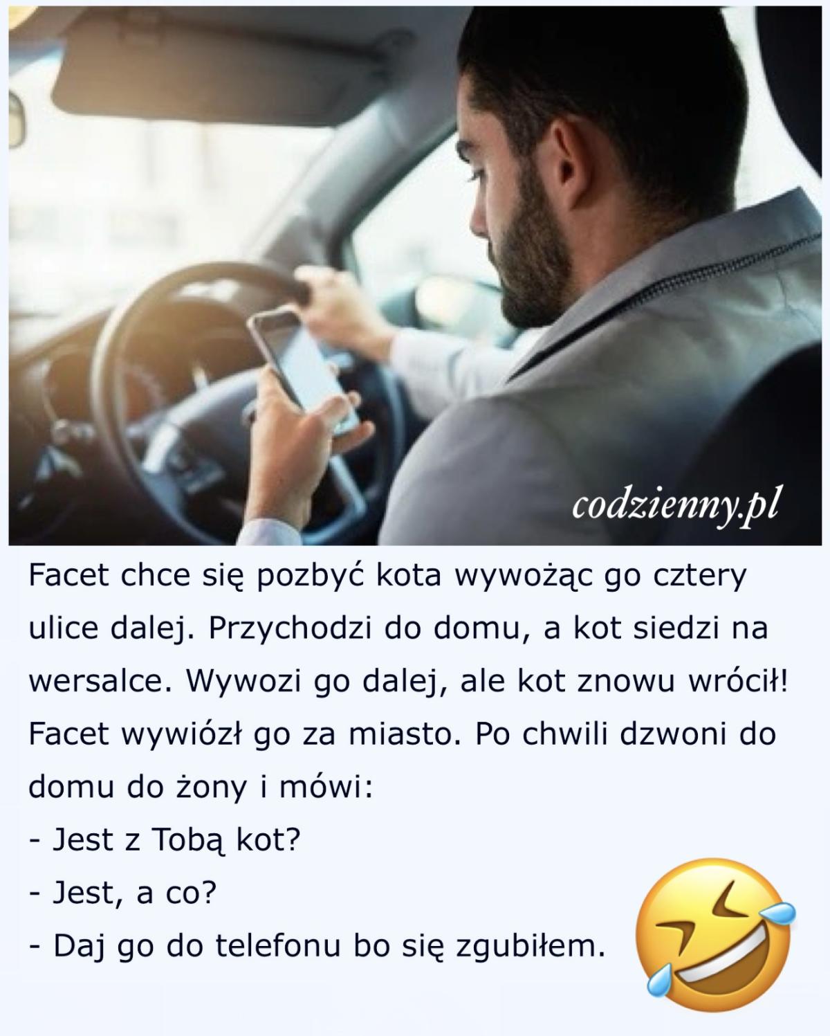 Sprytny kot