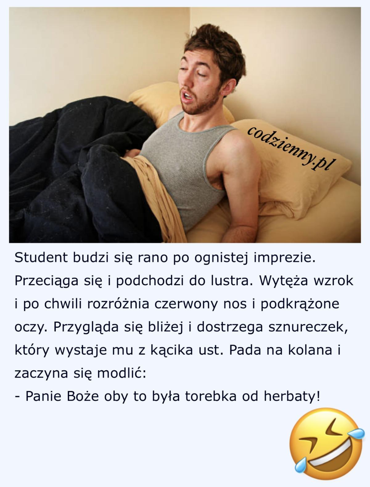 Studencki kac