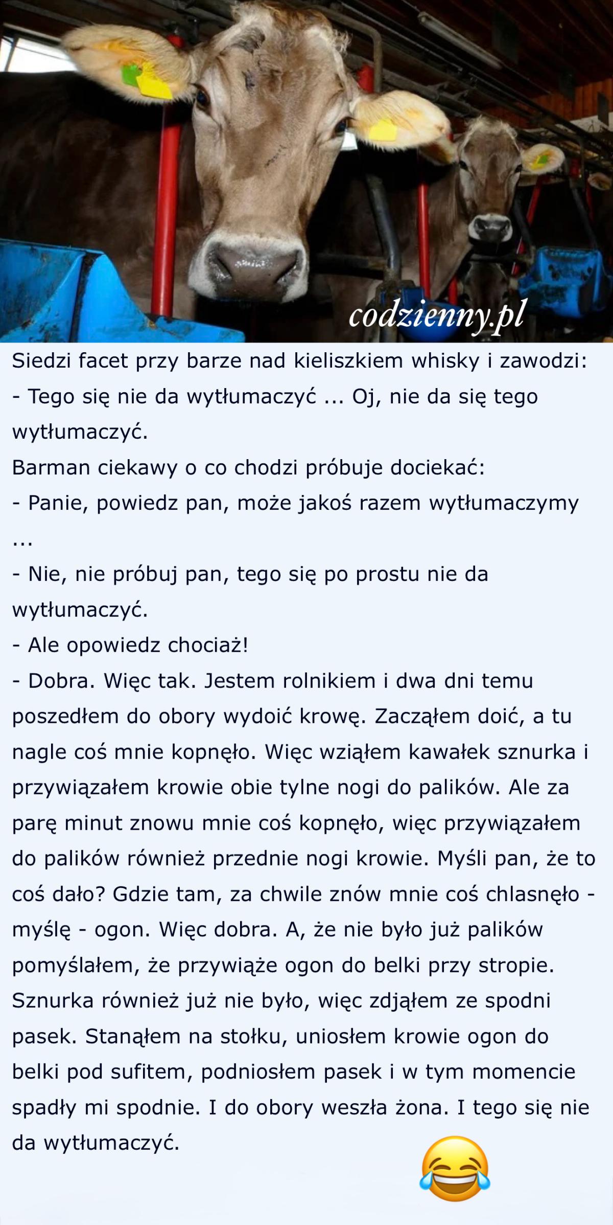 Tego się nie da wytłumaczyć 