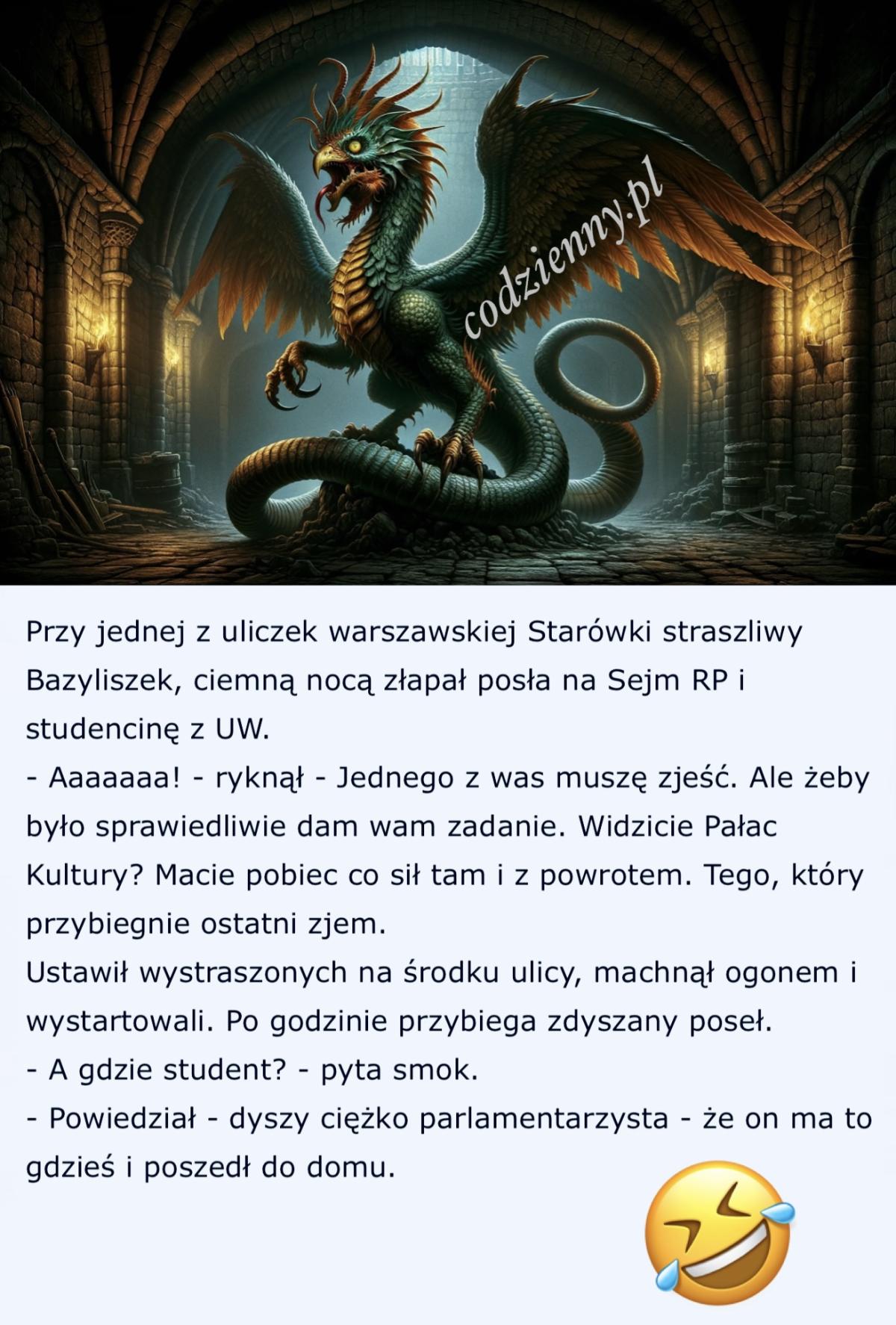 Warszawski Bazyliszek 