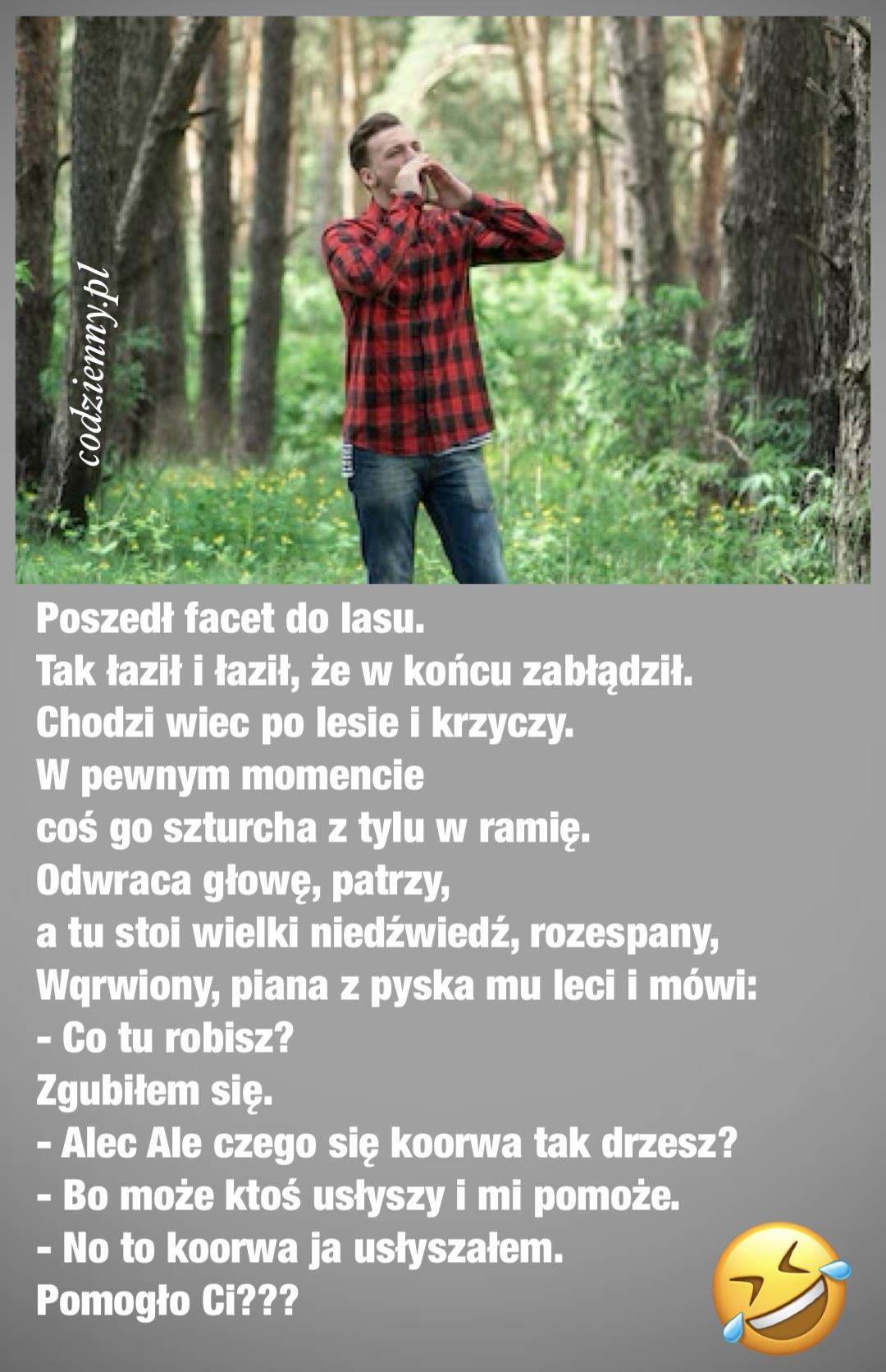 Zagubiony w lesie