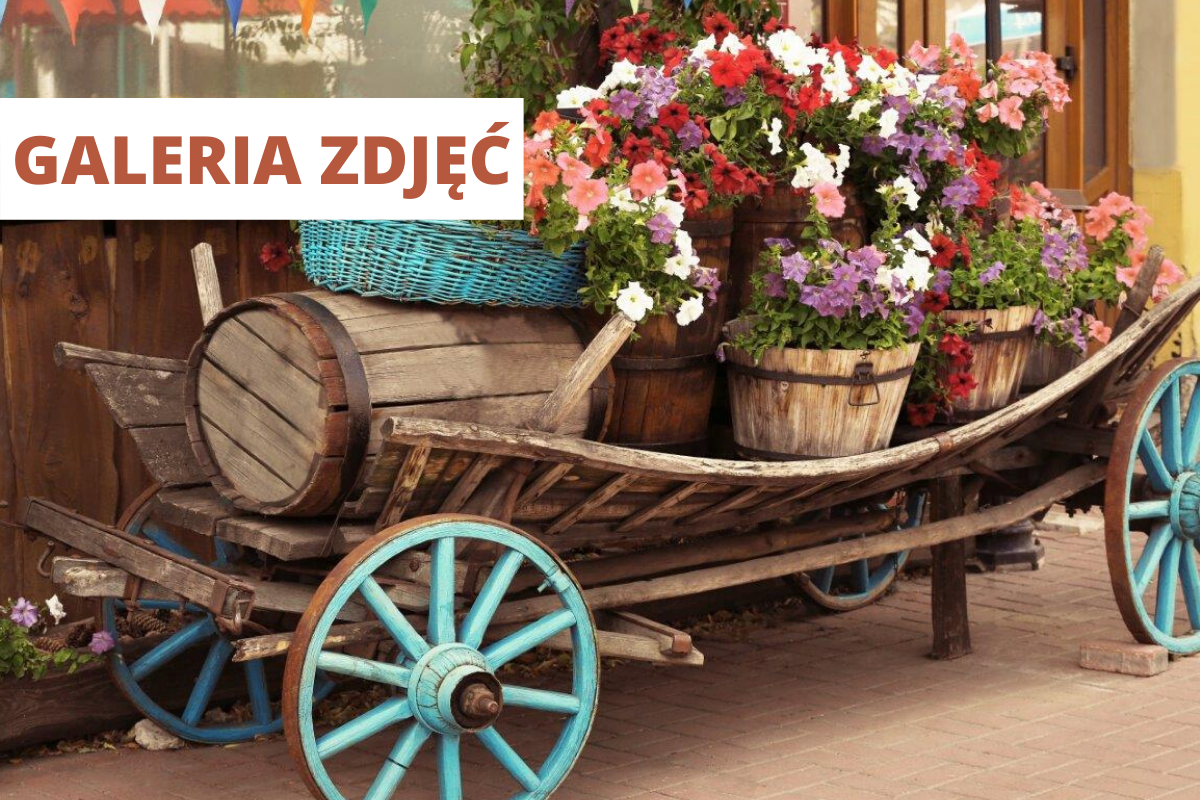 Coś z niczego z drabiny - Ozdoby do ogrodu