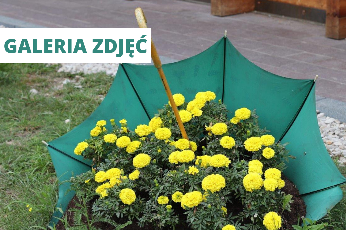 Kreatywne dekoracje zrób to sam do ogrodu